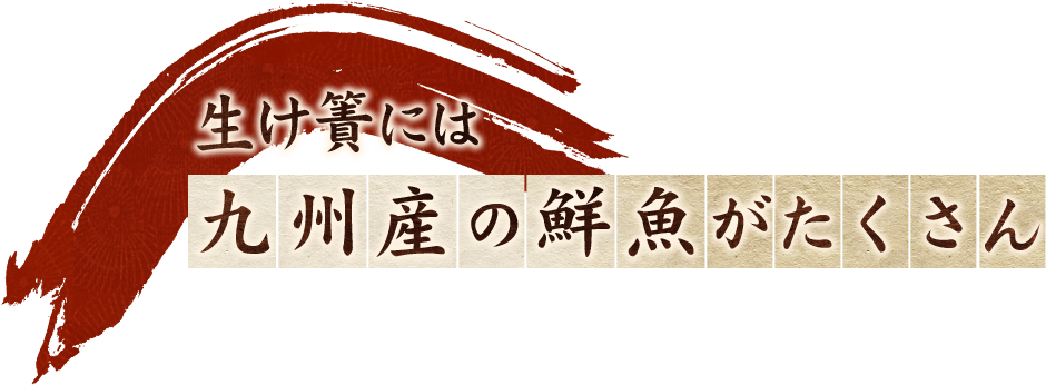 生け簀には九州産の鮮魚がたくさん