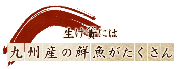 九州産の鮮魚がたくさん